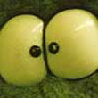 Beholder